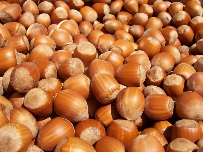 Nocciole: produzione dimezzata, chiesto lo stato di crisi